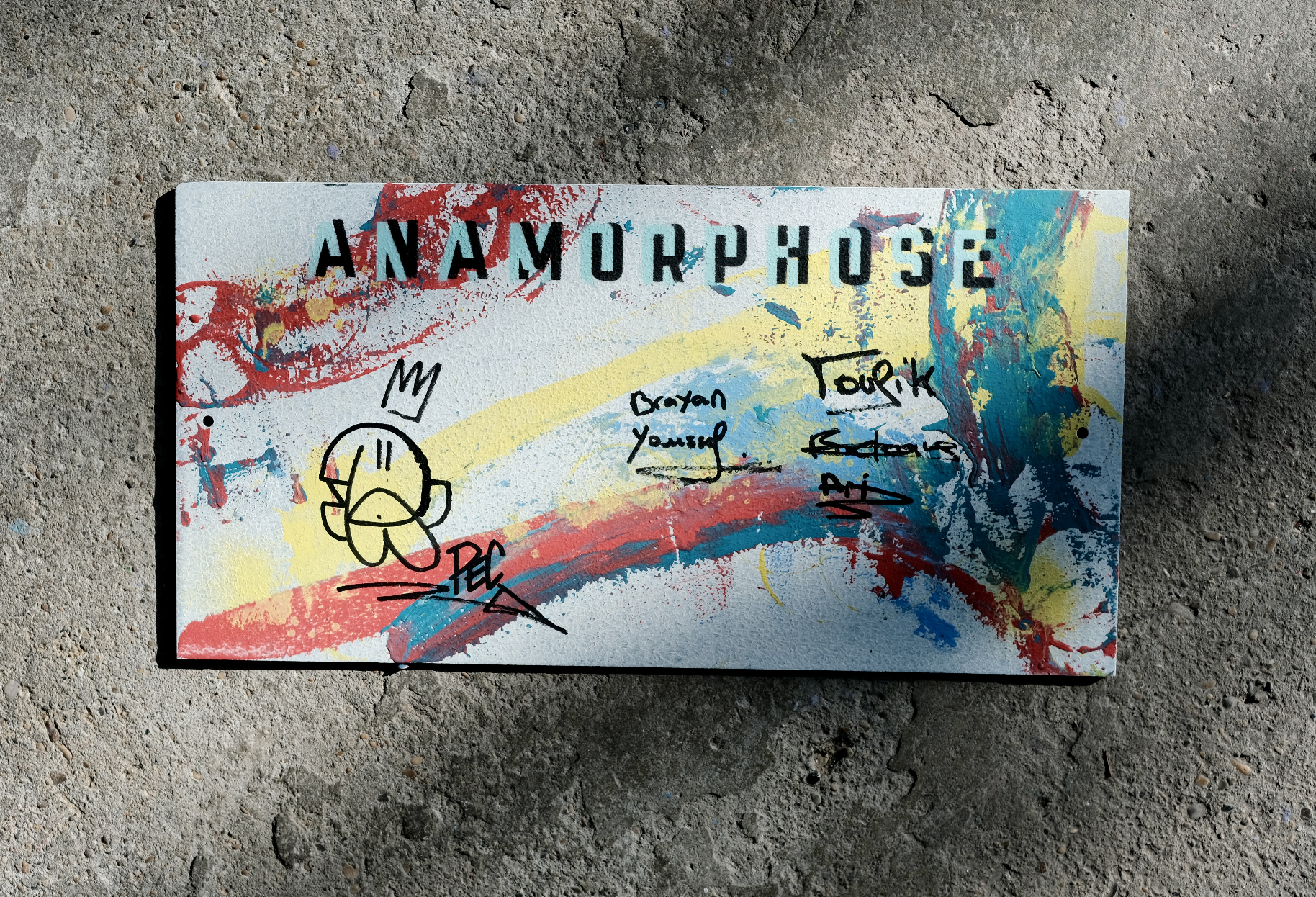 Deux tableaux (1 diptyque) de l'artiste Pec et de Anamorphose. On y voit des couleurs vives, un oiseau / canard (knar)