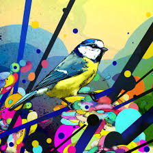 Osru Artiste oiseau couleurs street art