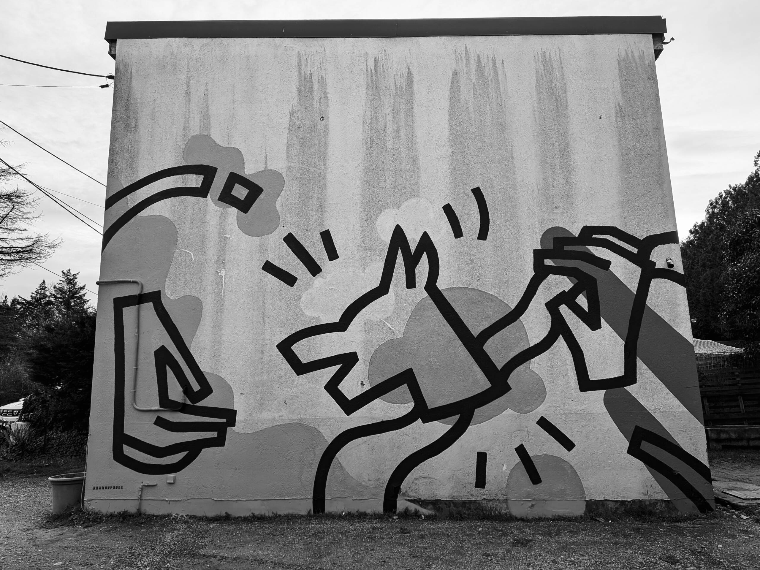 Fresque murale en extérieur, pour la façade de la pension canine PawsitiveJob de l'association Solivet. Une oeuvre d'art aux forme abstraites colorées, et aux lignes noires qui reprennent le logo de Solivet : une tête de chien et des mains.