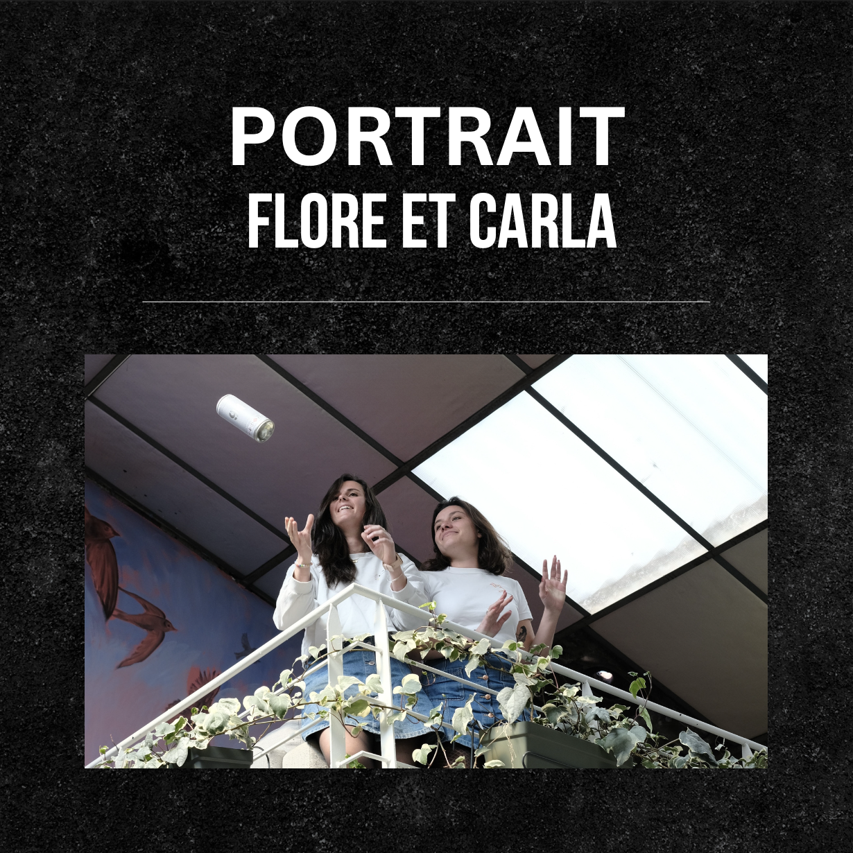 Interview et portraits de Flore et Carla, chargée de développement social et urbain chez Alliade Habitat, partenaire fort de Anamorphose.